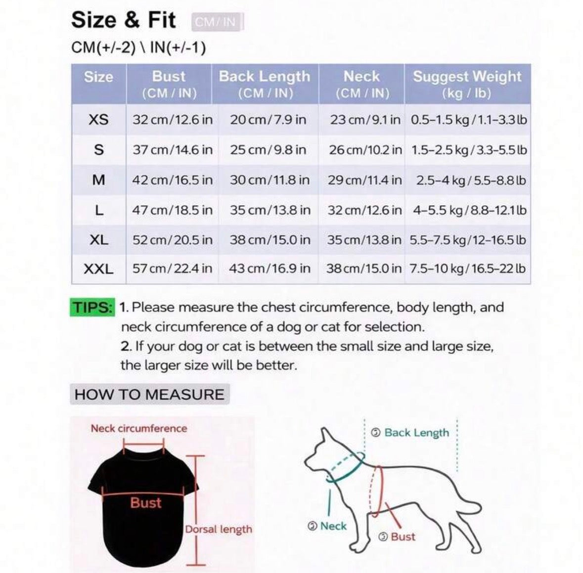 Happy Birthday Dog Dress