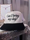 Can I bring my dog hat - black