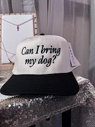 Can I bring my dog hat - black